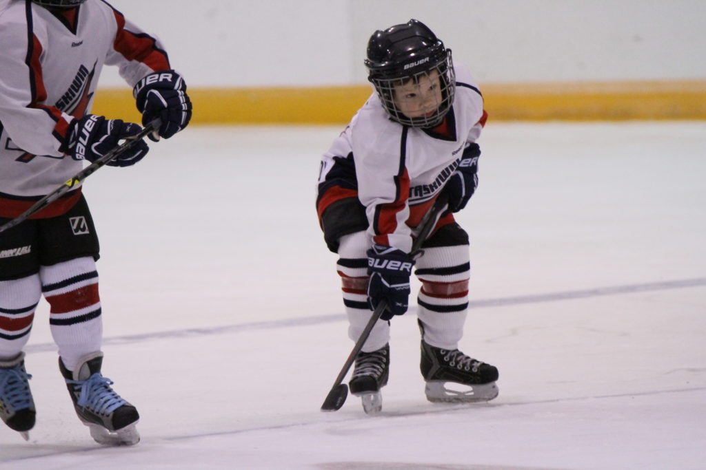 Welcome to Hockey Program
