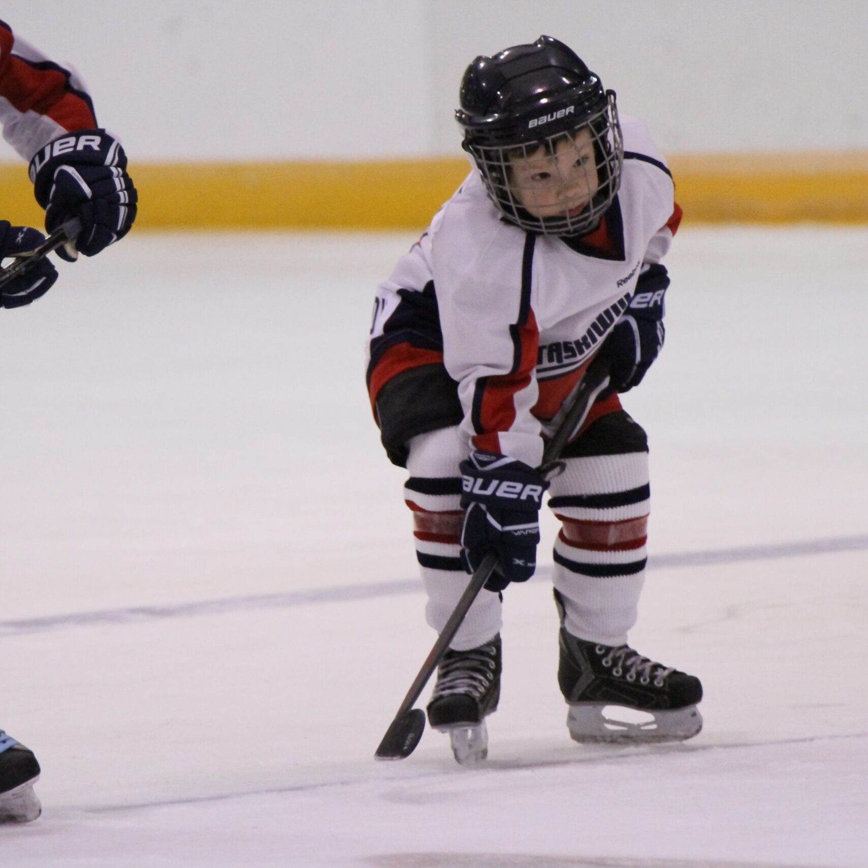 Welcome to Hockey Program